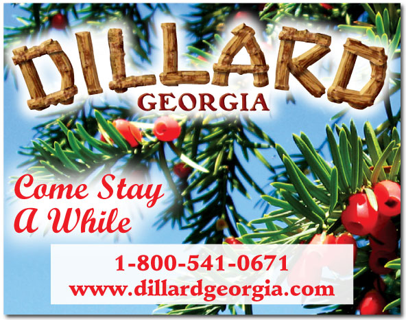 DillardMerchant.4.5