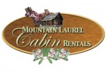 MtnLaurelCabinRent.4.1