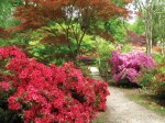 rhodos rhodos