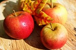 apple-496977_1920 apple-496977_1920