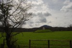 DSC_2151 DSC_2151