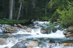 ChatRiver ChatRiver