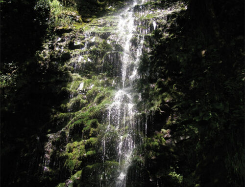 Waterfalls of Northeast Georgia
