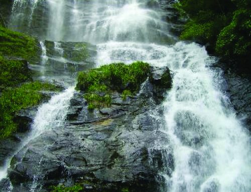 Road Trip to Amicalola Falls State Park