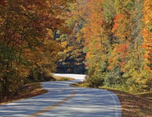 Take a Drive Down Scenic Hwy 197
