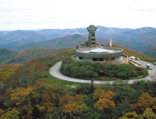 Welcome to the top of Georgia: Brasstown Bald