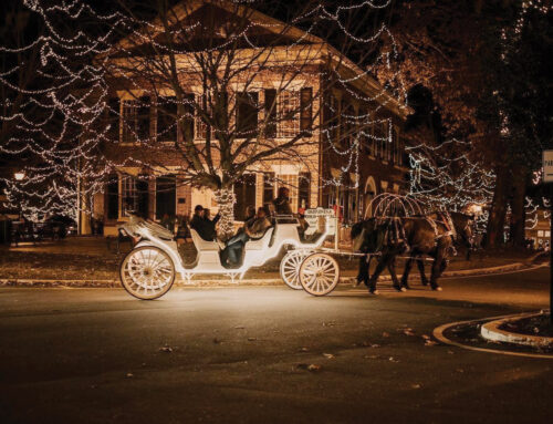 Community Spotlight: Dahlonega, GA