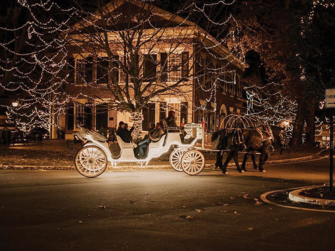 Discover Gold - Dahlonega Visitors Center